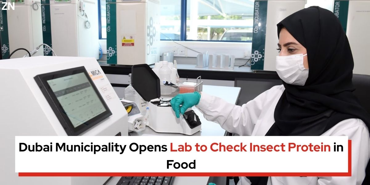 Dubai Municipality Opens Lab to Check Insect Protein in Food - Zepnew Global Business News in 99 Words